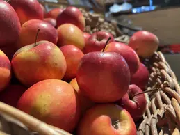 biocoop-grandeur-nature-toulouse-rangeuil-fruit-pomme.webp