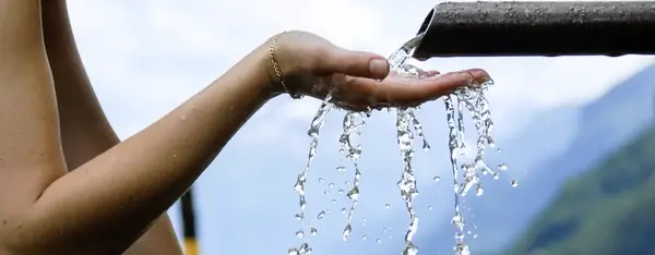 La Bio pour sauver l'eau ! La Bio pour sauver l'eau !