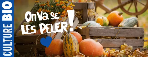 Tout est bon dans la saison : on va se les peler !